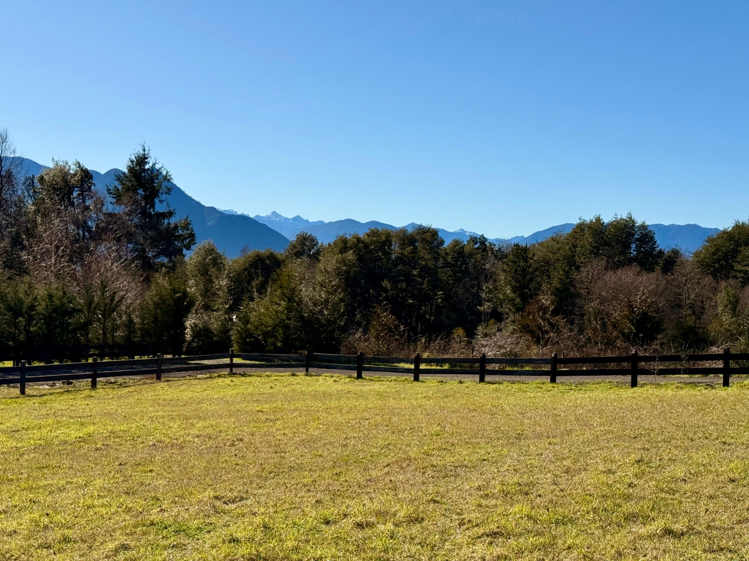 0feeb131-1535-486d-86df-55b56cbd04e7