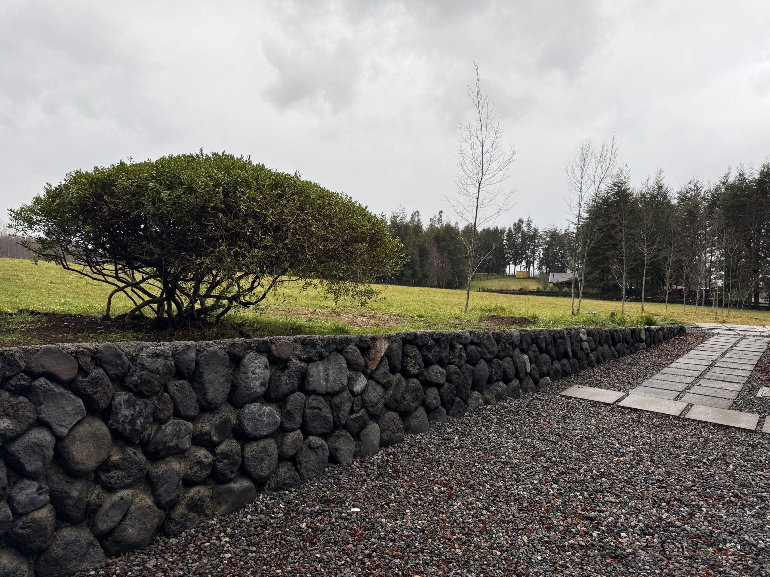 1a90ed3a-6349-412f-ad33-585389f081b5