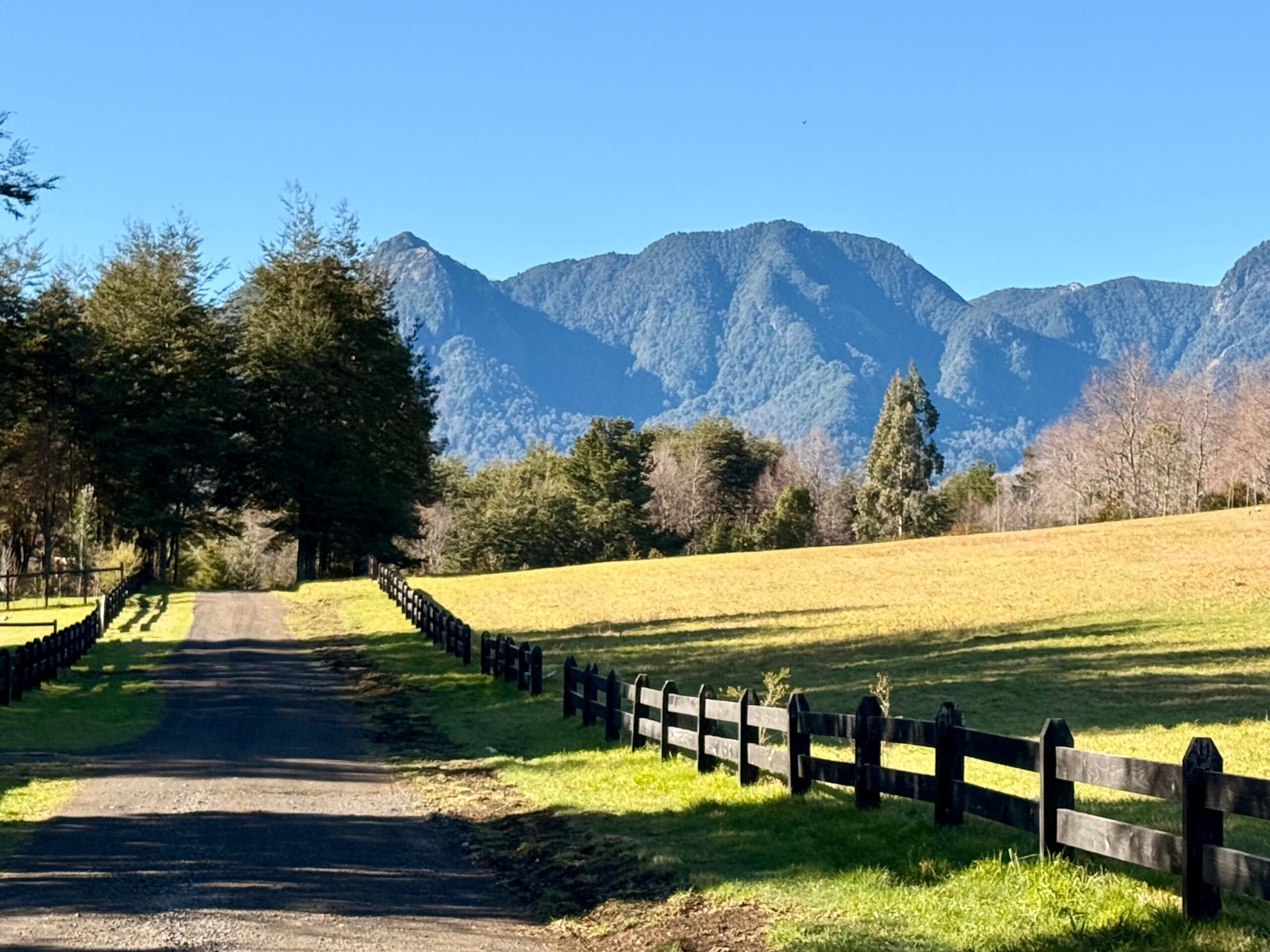 1d182cda-8298-46a0-9902-9e520cb79ecb