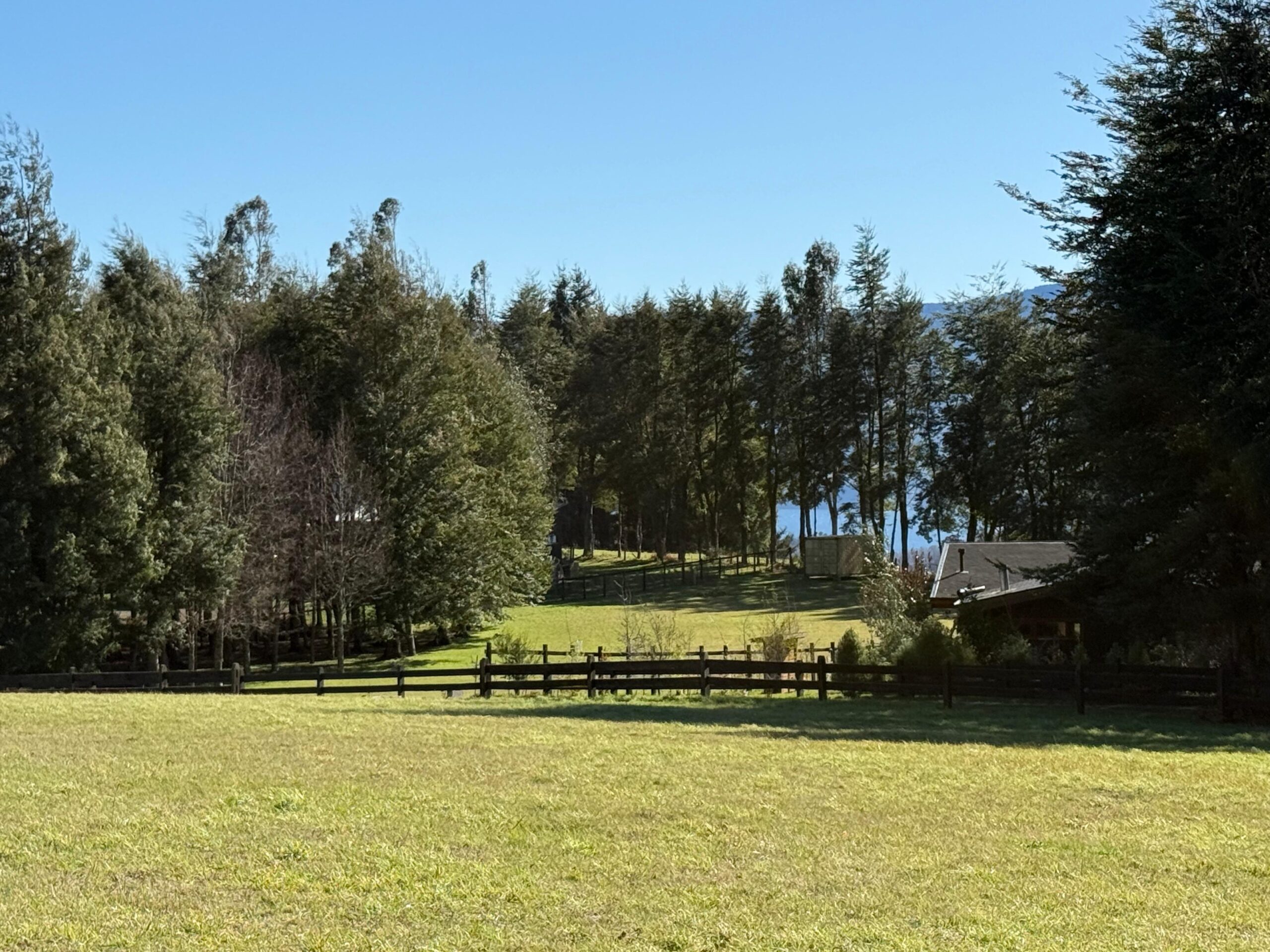 40945d5e-d614-4780-8168-f2512496174e