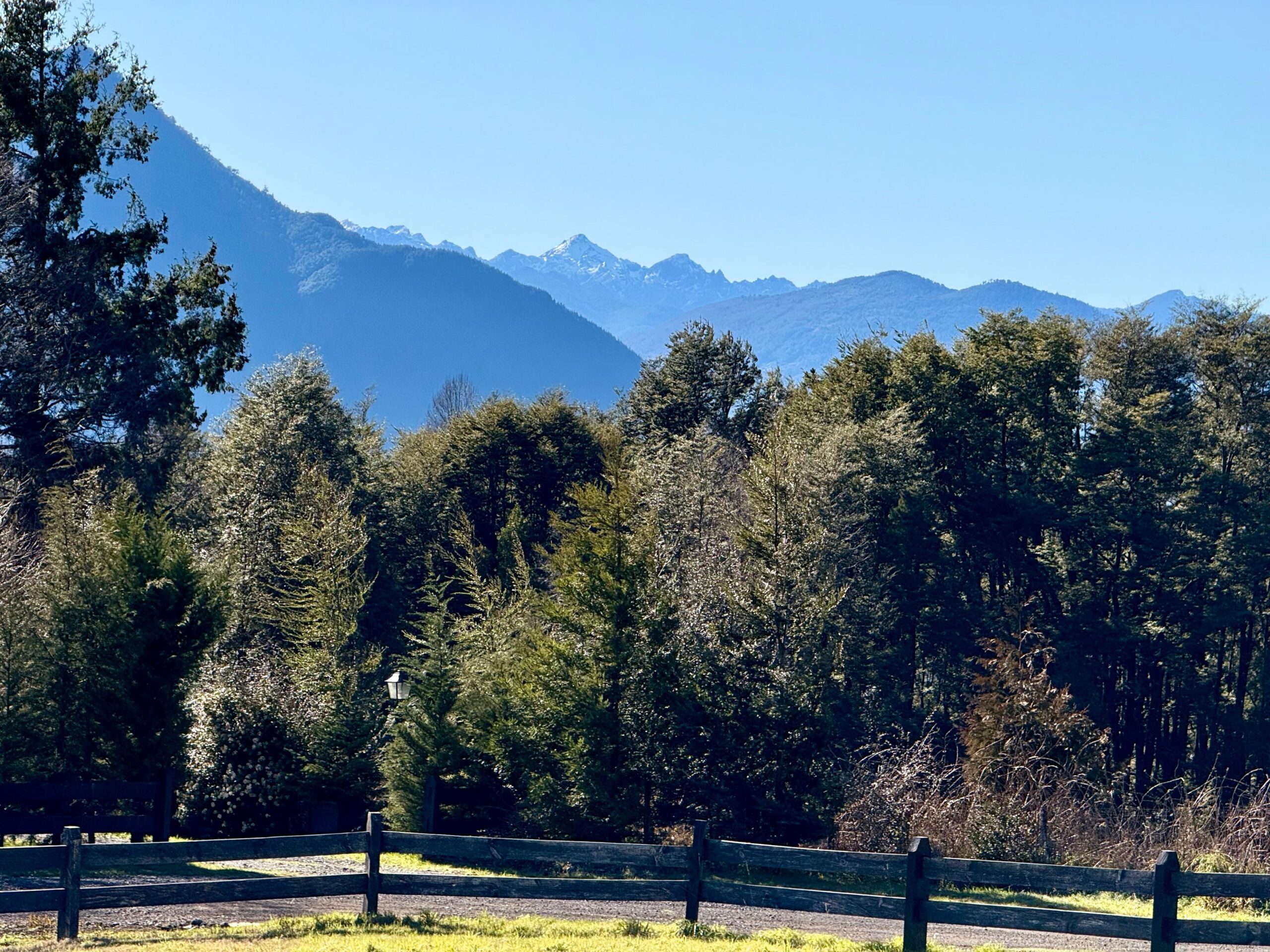 e16c7189-d1b9-4617-9120-c6709cf89755