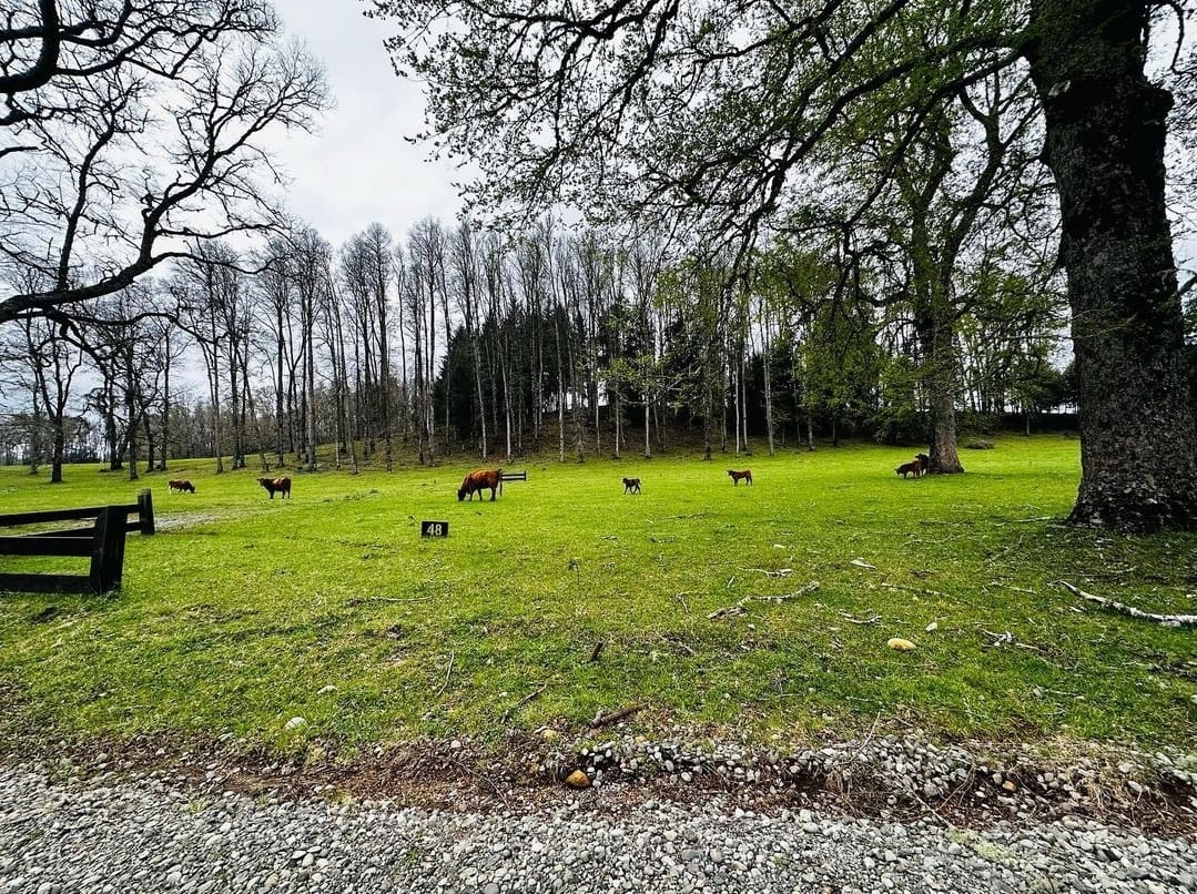 5b15c8b5-a249-42b9-8462-c2c544022d86