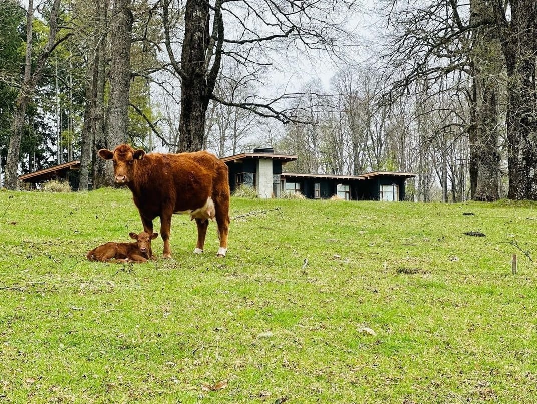 673a1181-8e11-4435-8abb-c5edefd91172