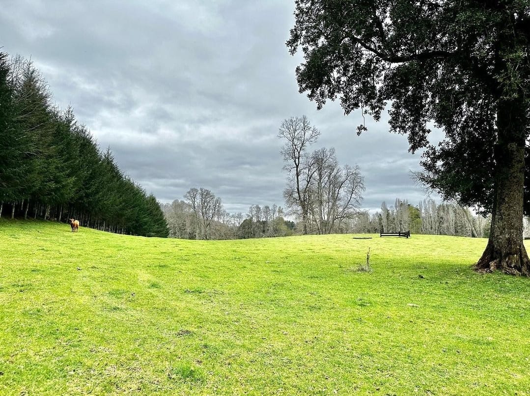 bc532fc4-1bc6-45ac-85dd-a34ec9b8df24