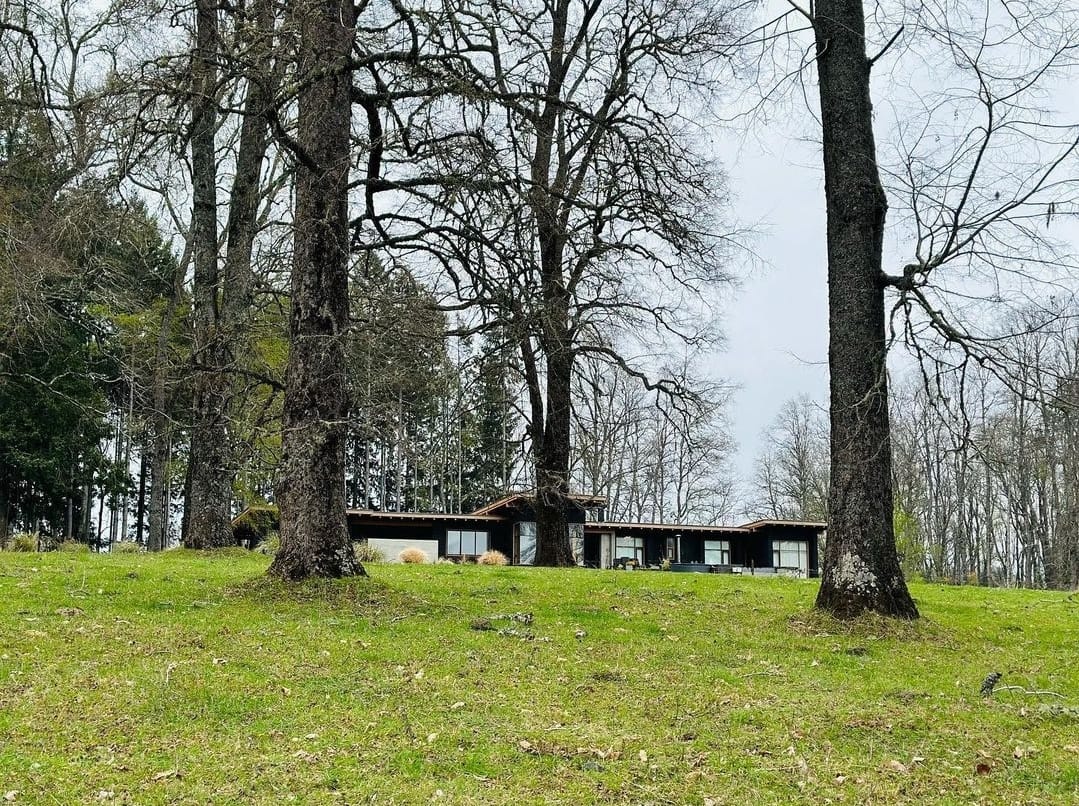 ca997bca-4692-4564-bd76-aef78ade6b96