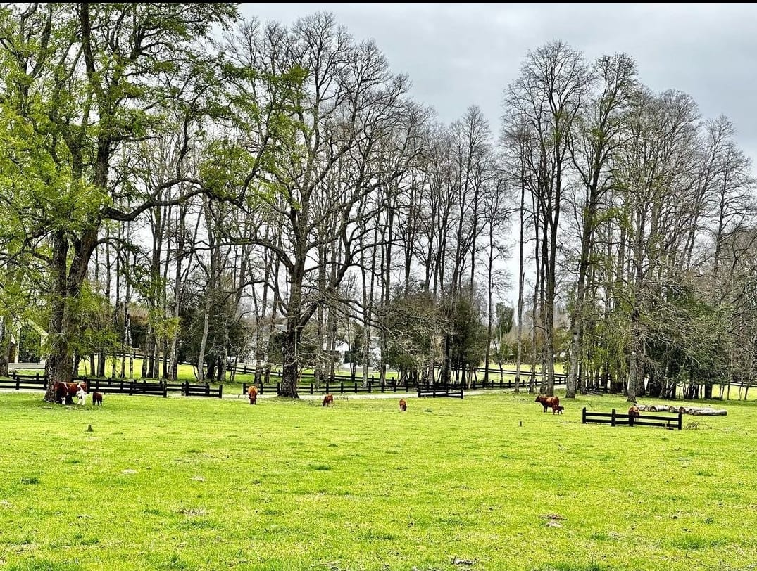 f3449b44-0196-4650-823f-2db1873639f1