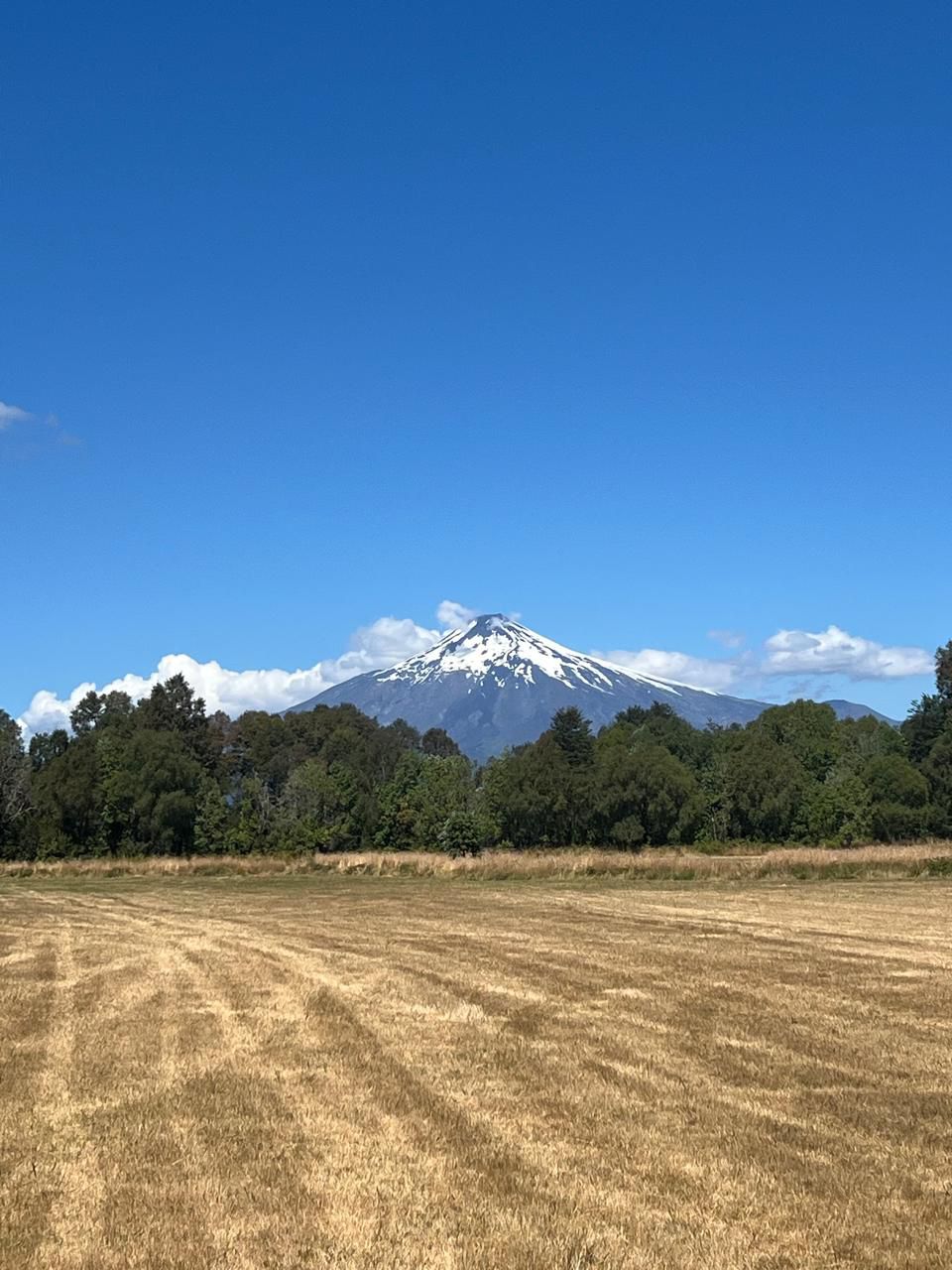 ba1d9b60-746c-4274-9a1e-ac2788c13ae6