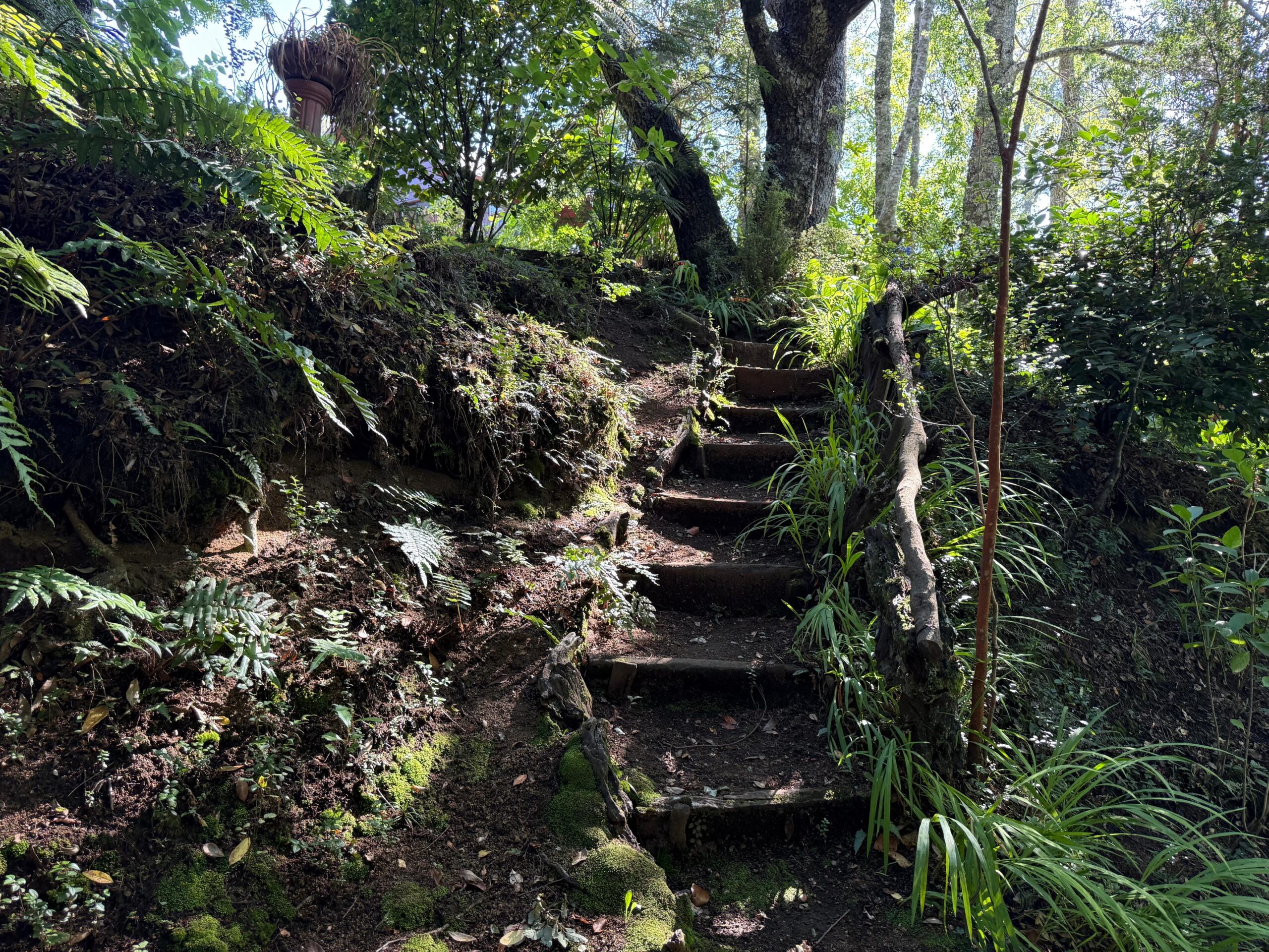 094d1516-9d3f-48eb-9438-b6c7ec171b33