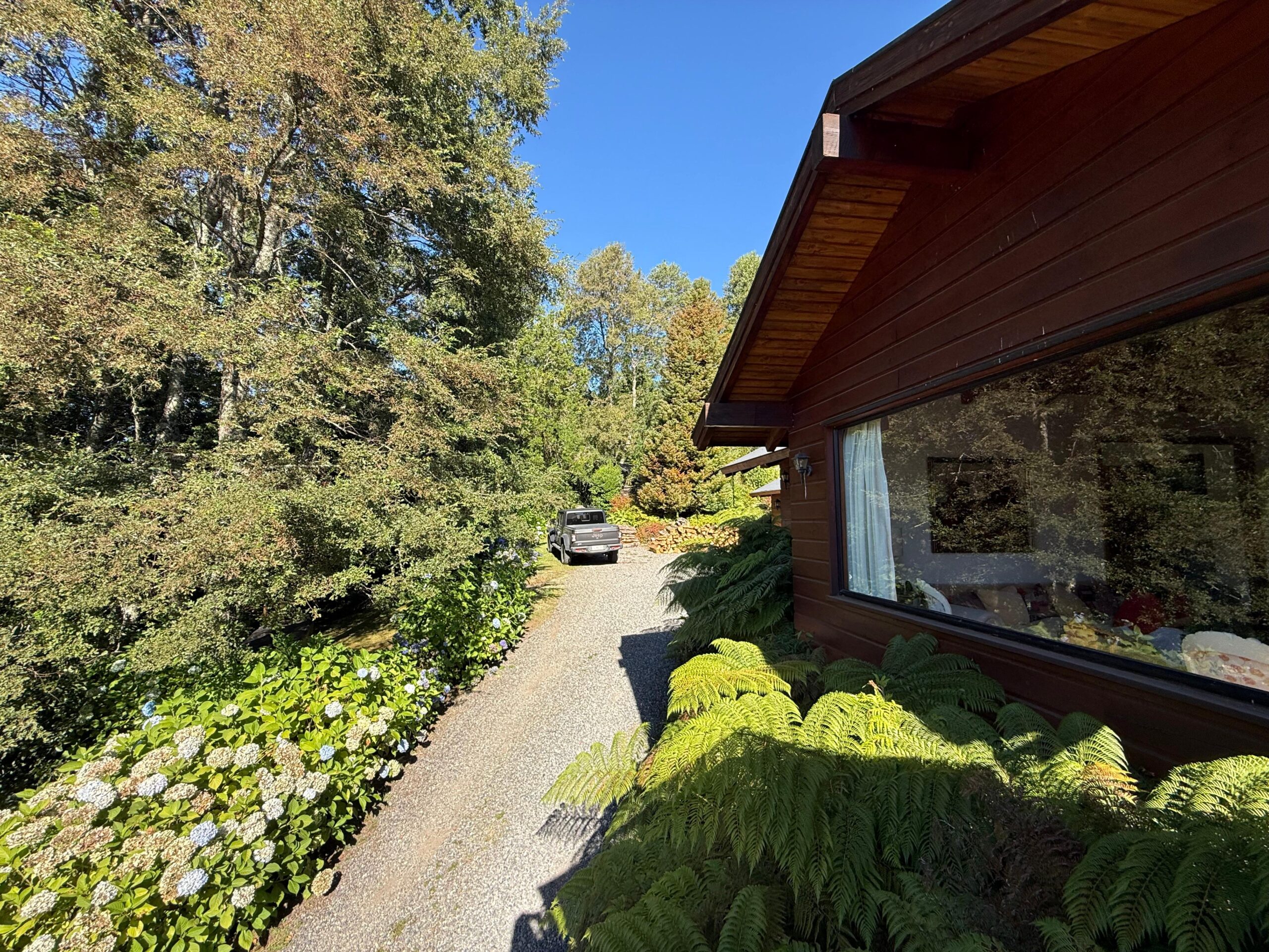 169bb21d-9500-47b8-99d0-f9990b15aae3