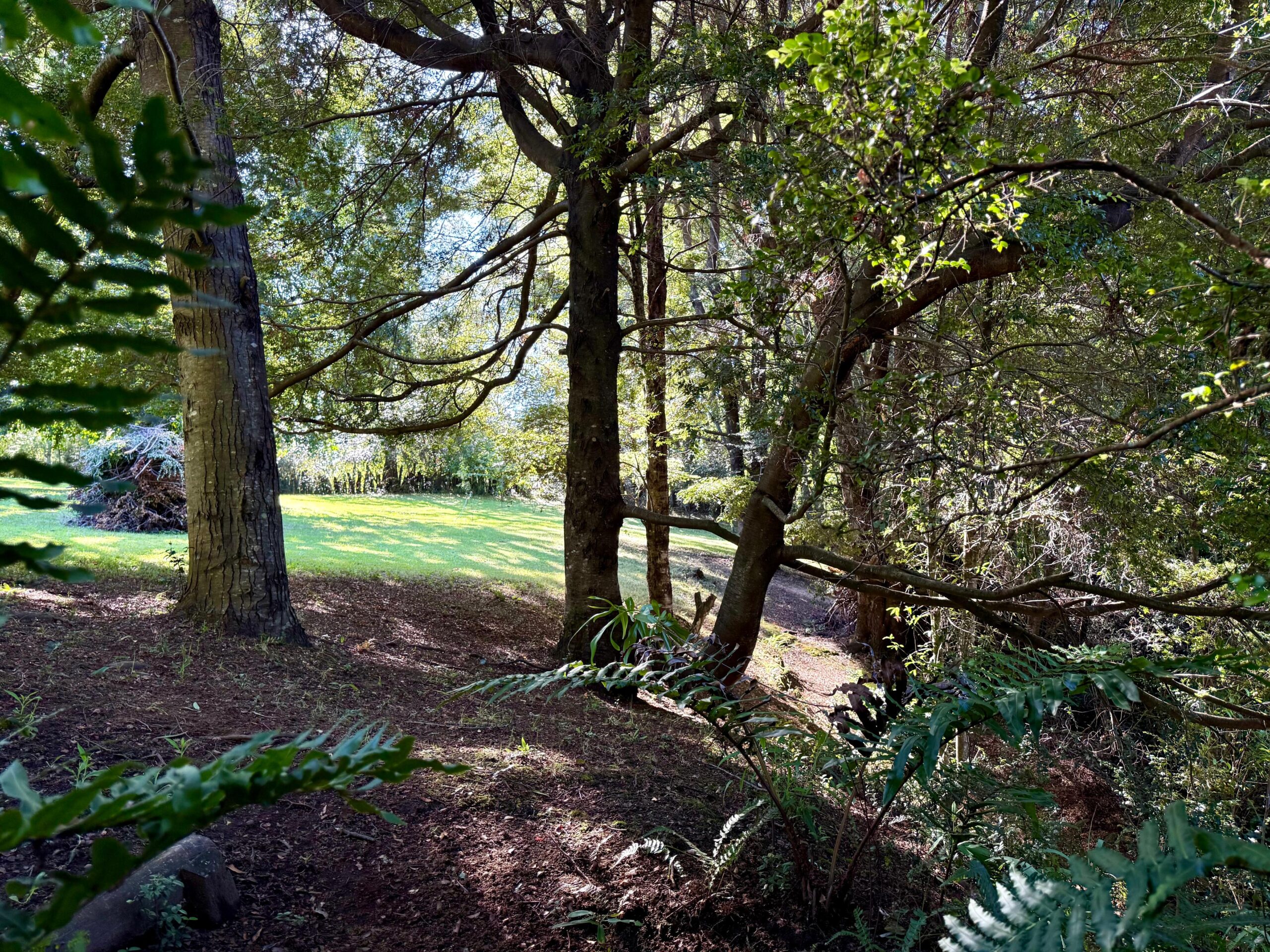 5175f909-b695-48c0-8c87-2d4331202a00