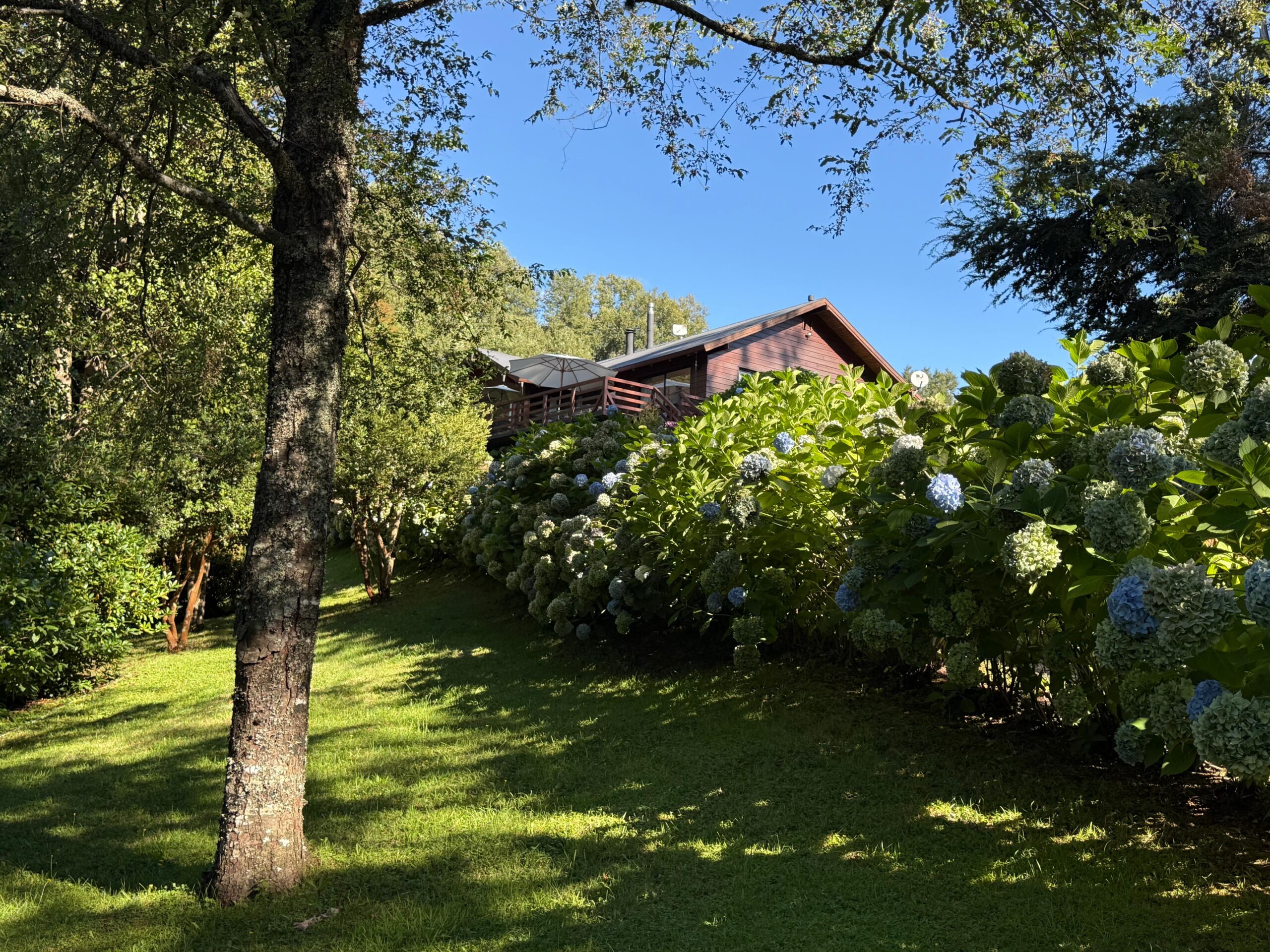 73c37087-cddc-44b6-b89a-0a1484c73446