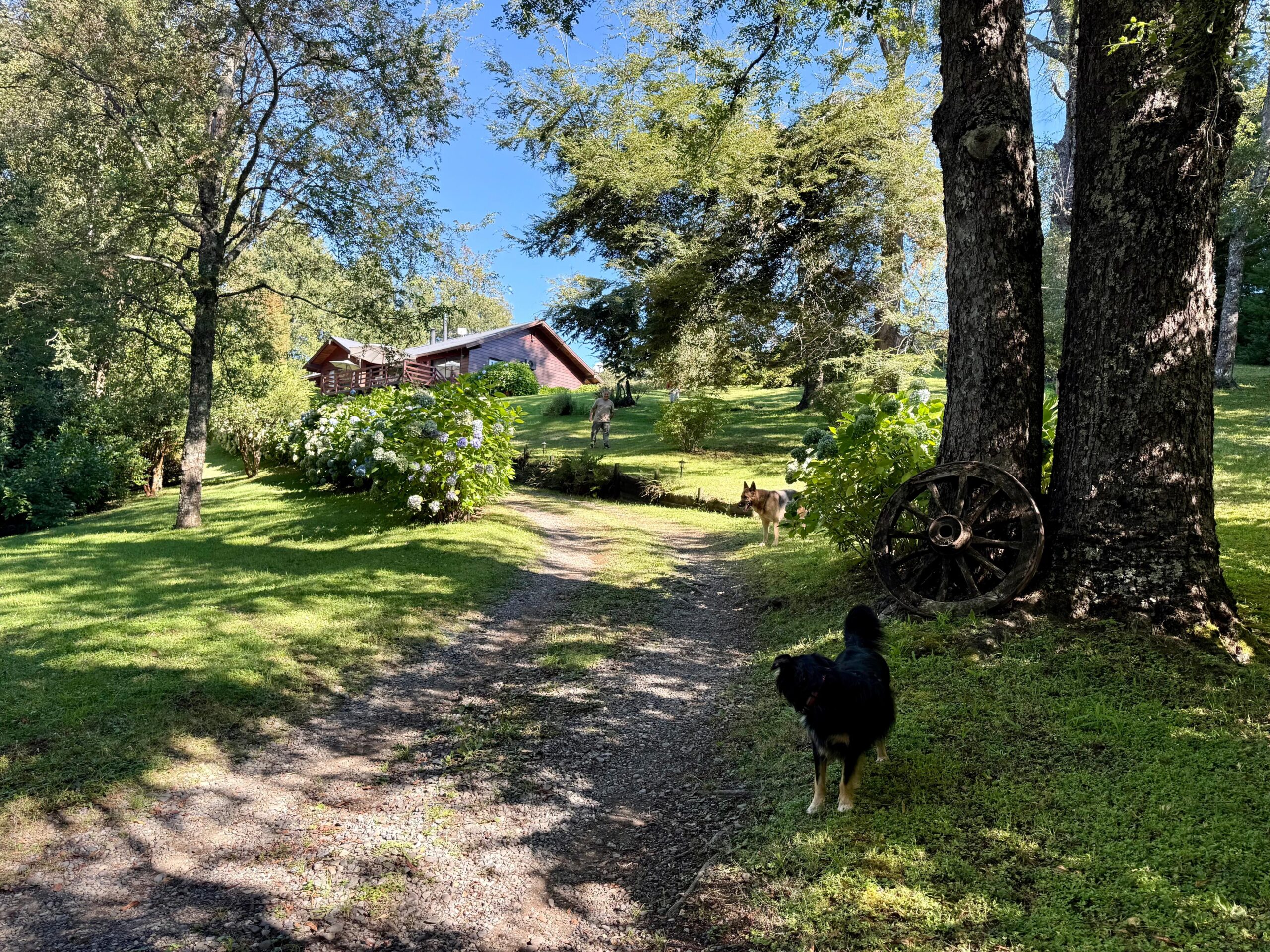 7558438d-76e0-4930-8b15-b6276ba0fa04