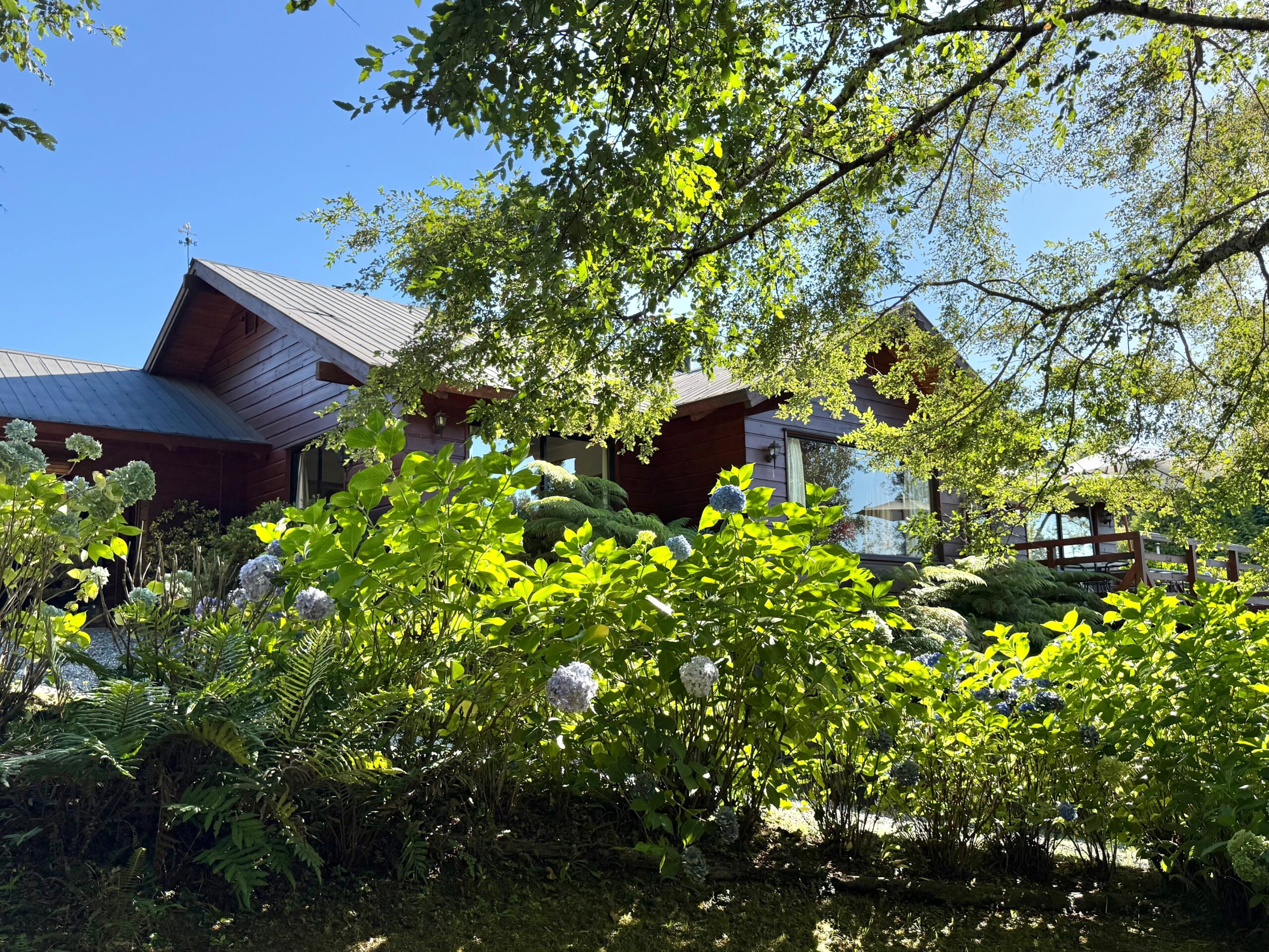 c35b6034-bec9-4969-b241-974400efcf4d