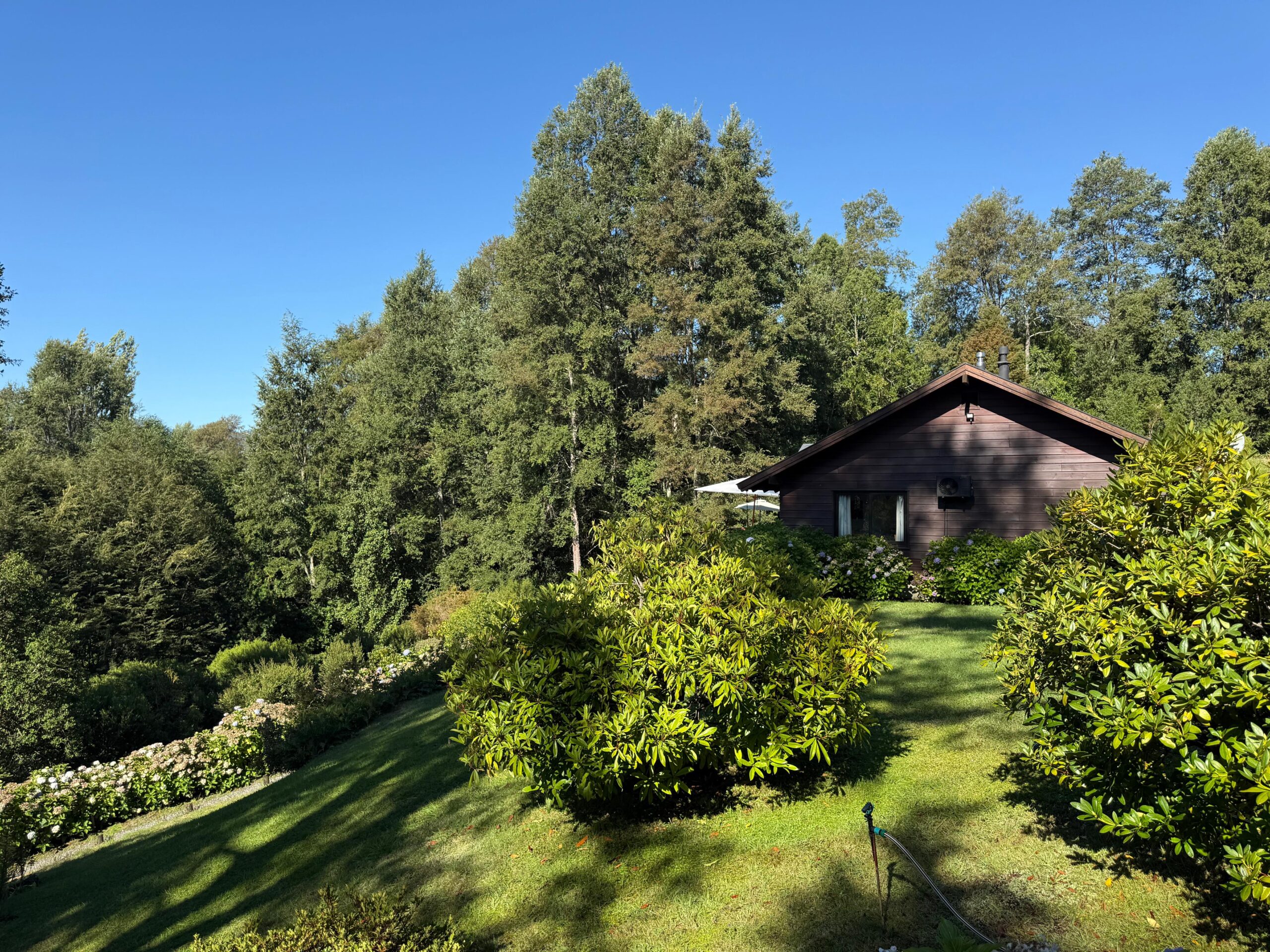 c863331a-2f72-452c-adcd-7fe5456af4aa