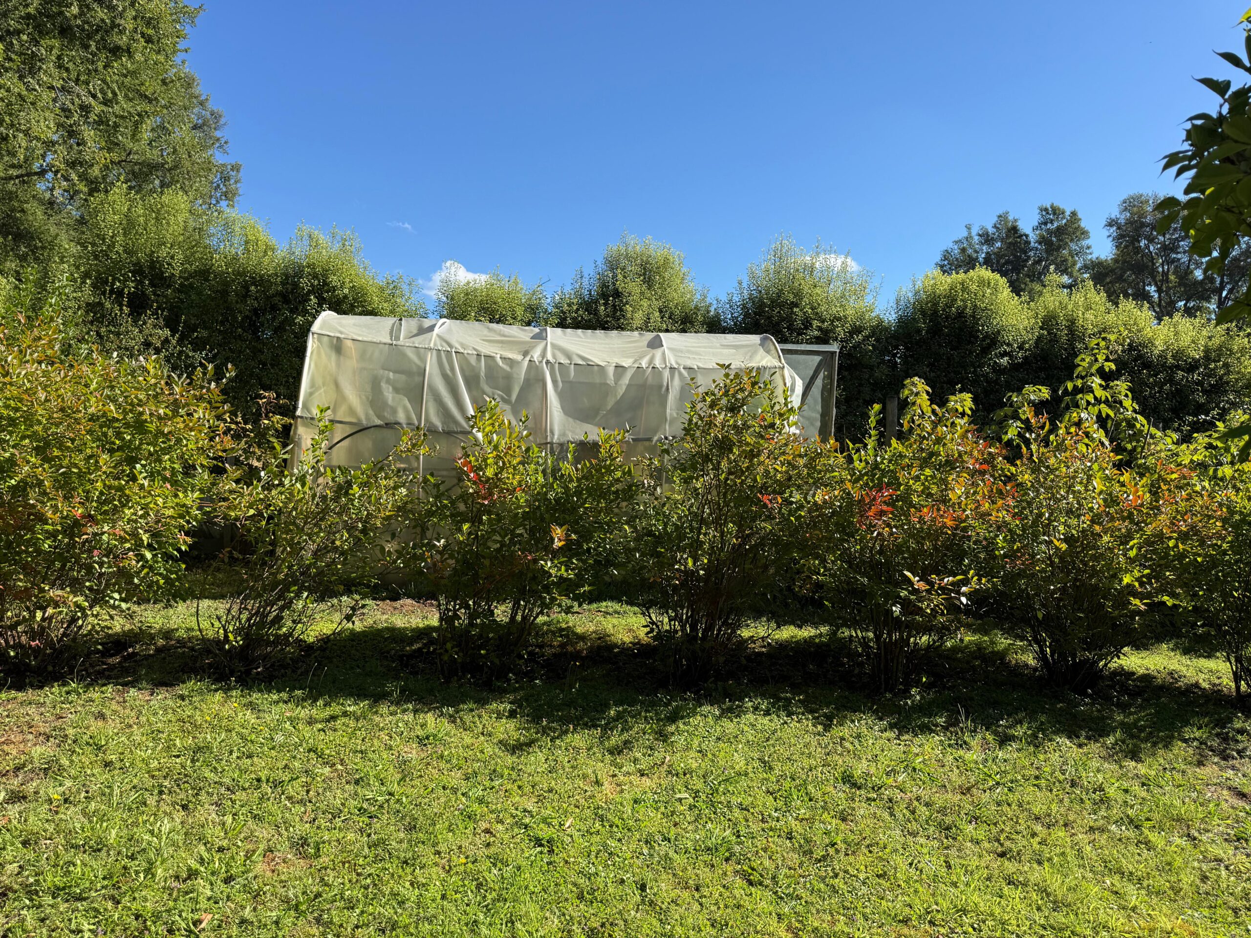 d2892f71-27e6-4bfe-a5e6-da24ce0b9a04