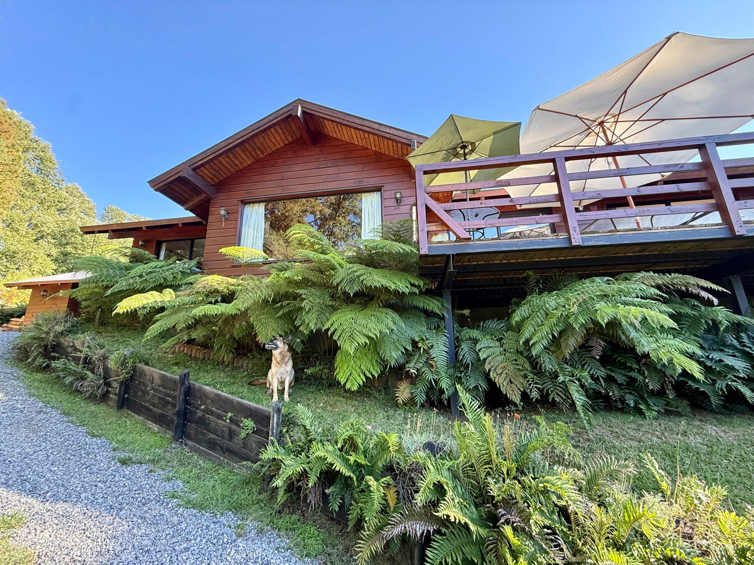 d911e819-3e20-459c-a59c-0e92bccac8d1