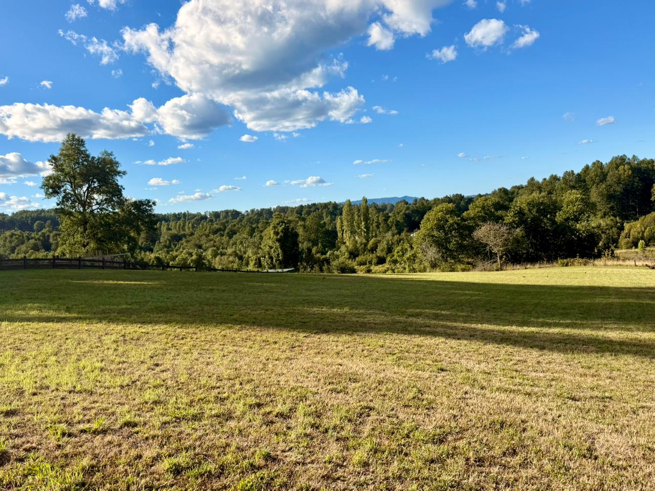 029e2793-0985-43ae-84f2-20916f1c3457