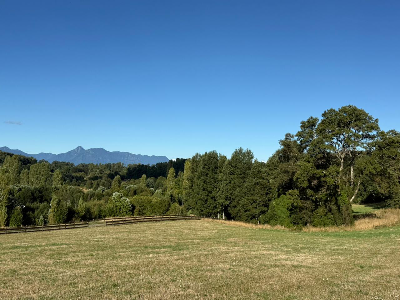 0545ba13-76dd-4114-a495-b46714836863