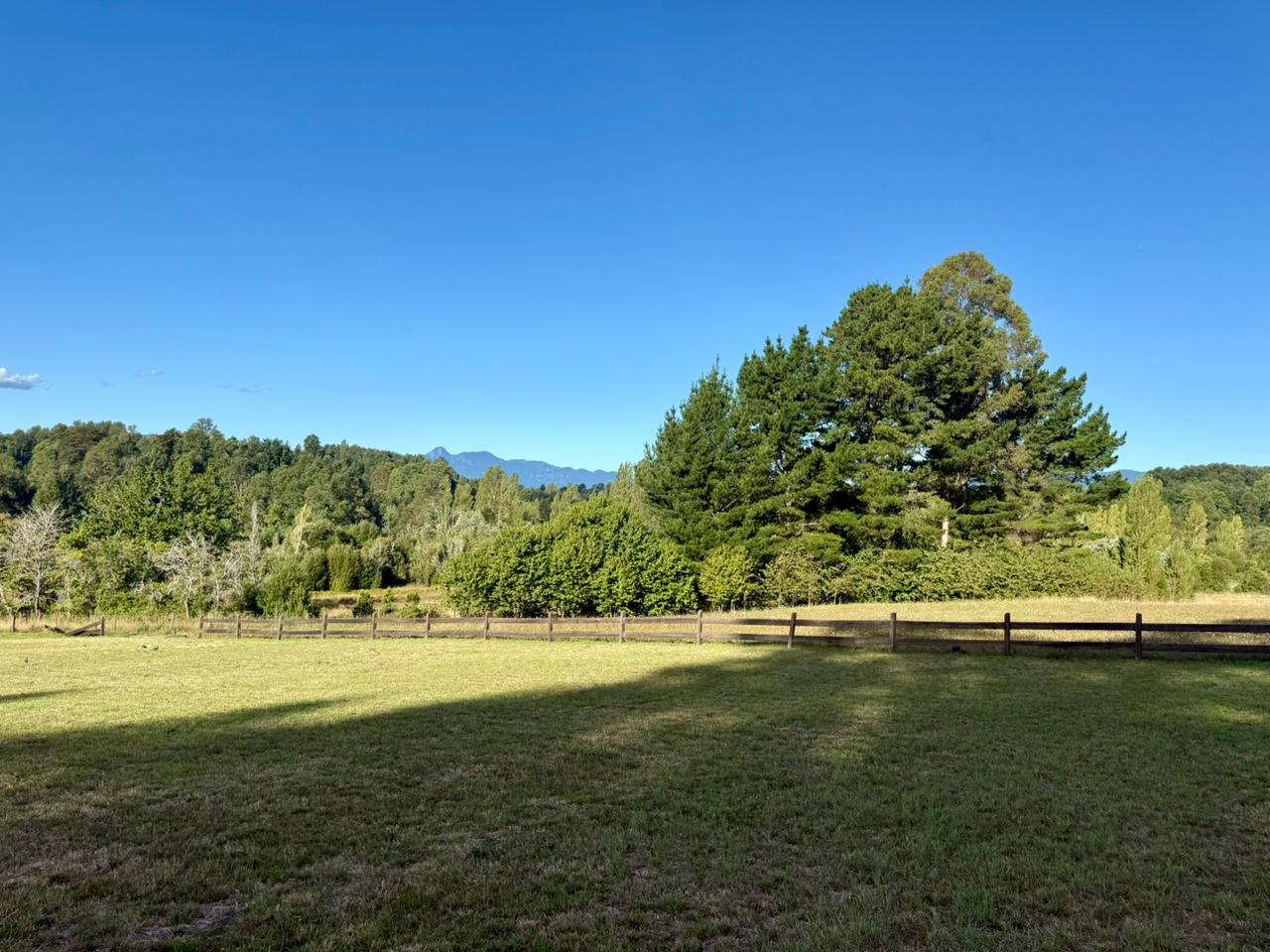 160a6f61-f11f-4332-ad51-065f3e431949