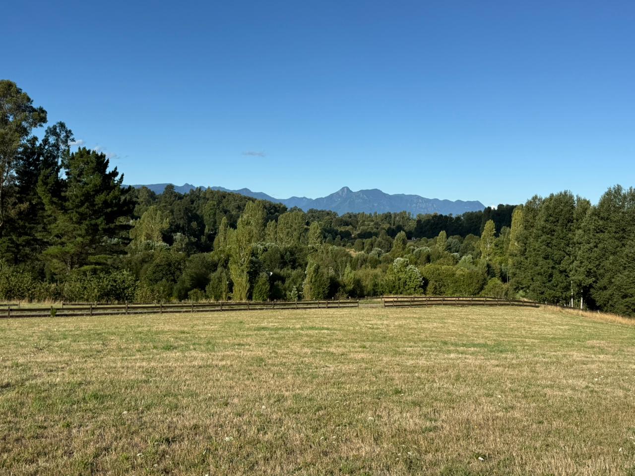 21c6e168-4baf-4c6e-8a0a-902aaa6c3ea3