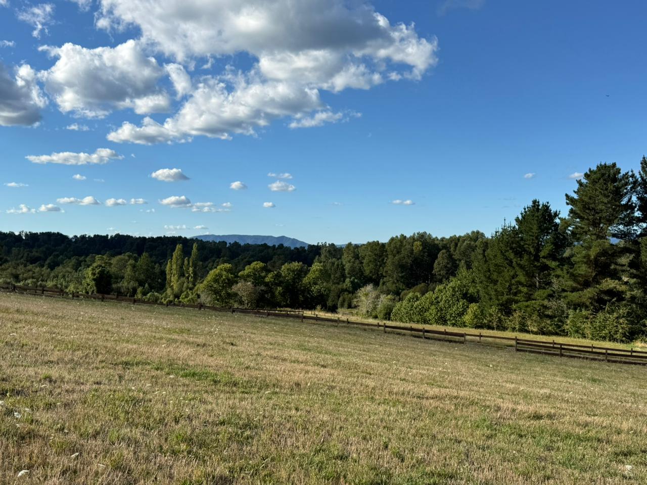 22a71913-b24f-44bf-a98d-f951330bb579