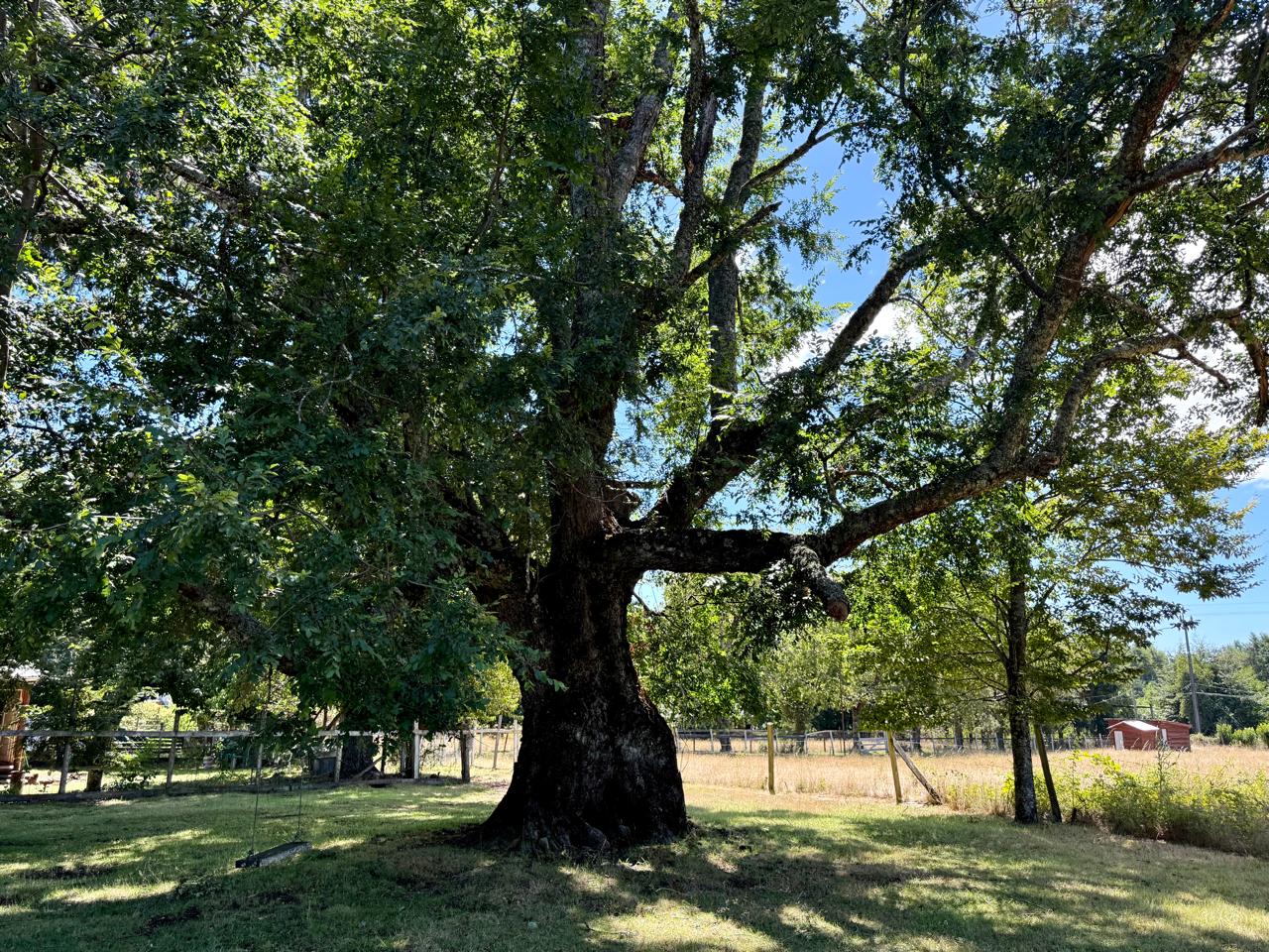 341ea8fd-045e-4292-b48d-ae0786015352