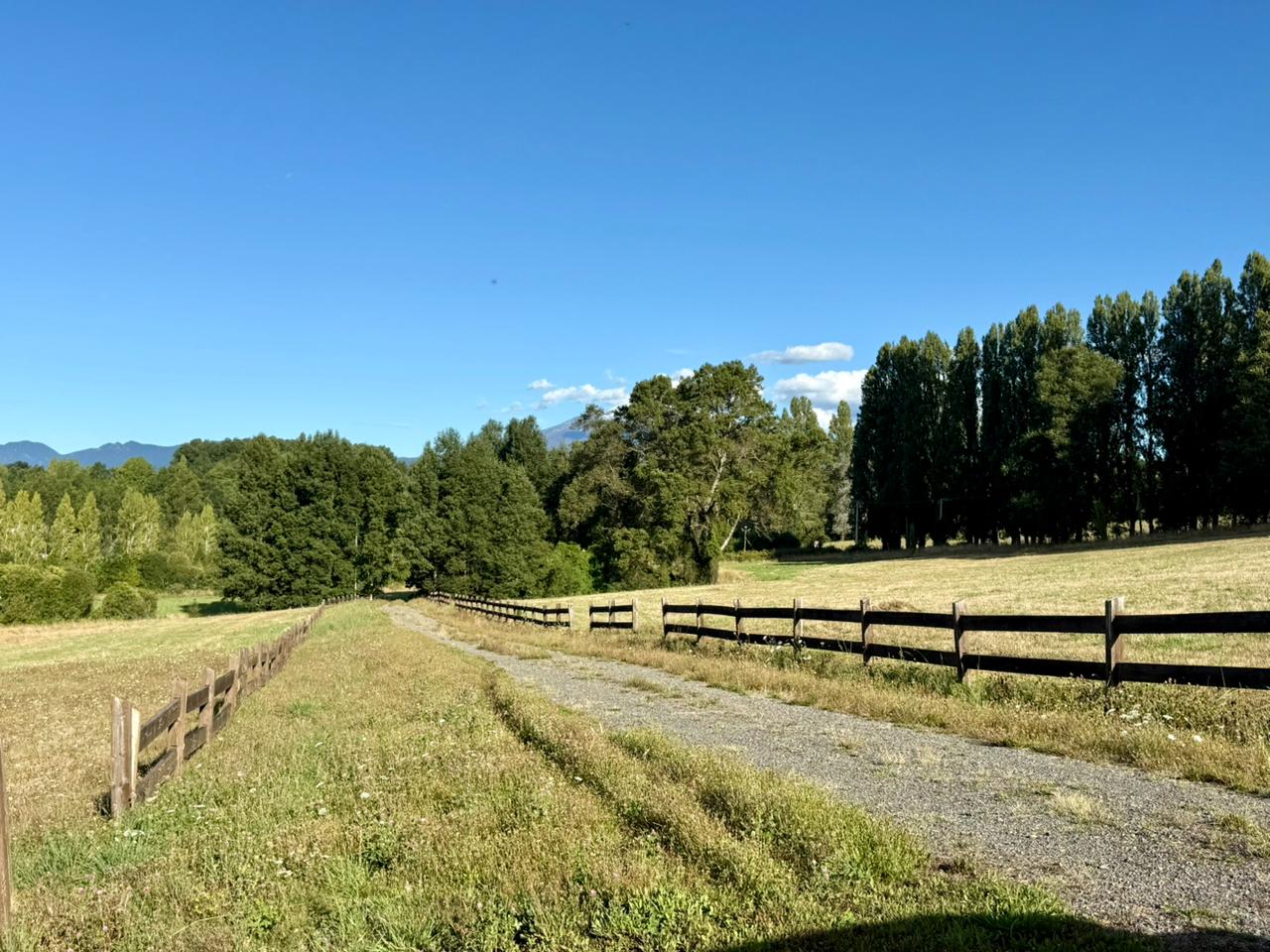 43e2f3cd-0a87-4521-9ca3-e6b0e20d174d