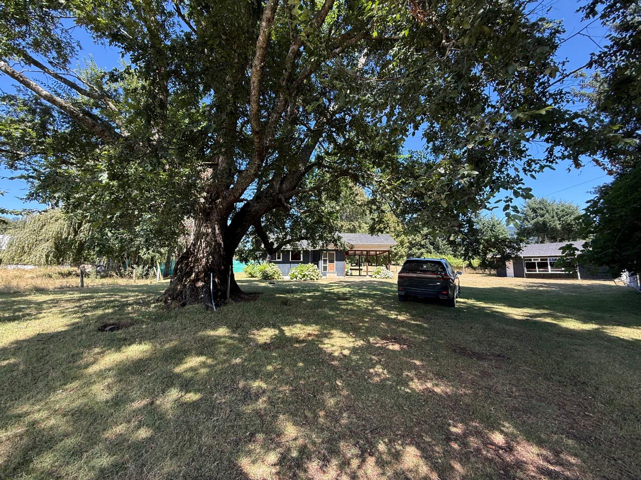 44495666-07e2-4432-91ff-9e005d1f1e37