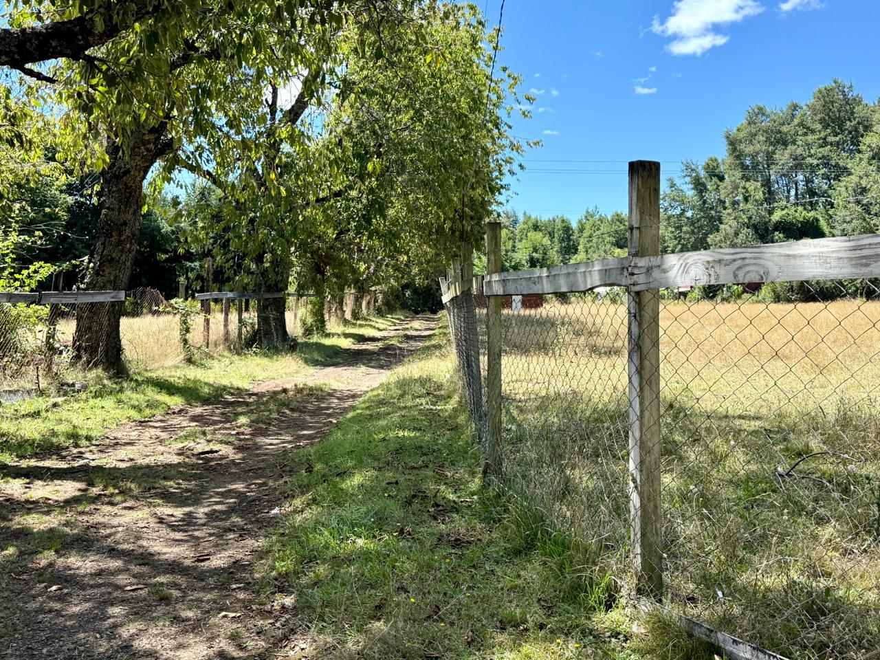 57edf288-d334-40b8-9fec-9739f1373325