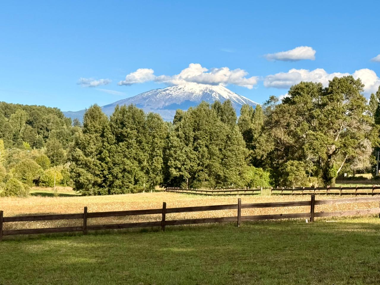 6679f548-7eb8-472a-9498-b2de1af0b785