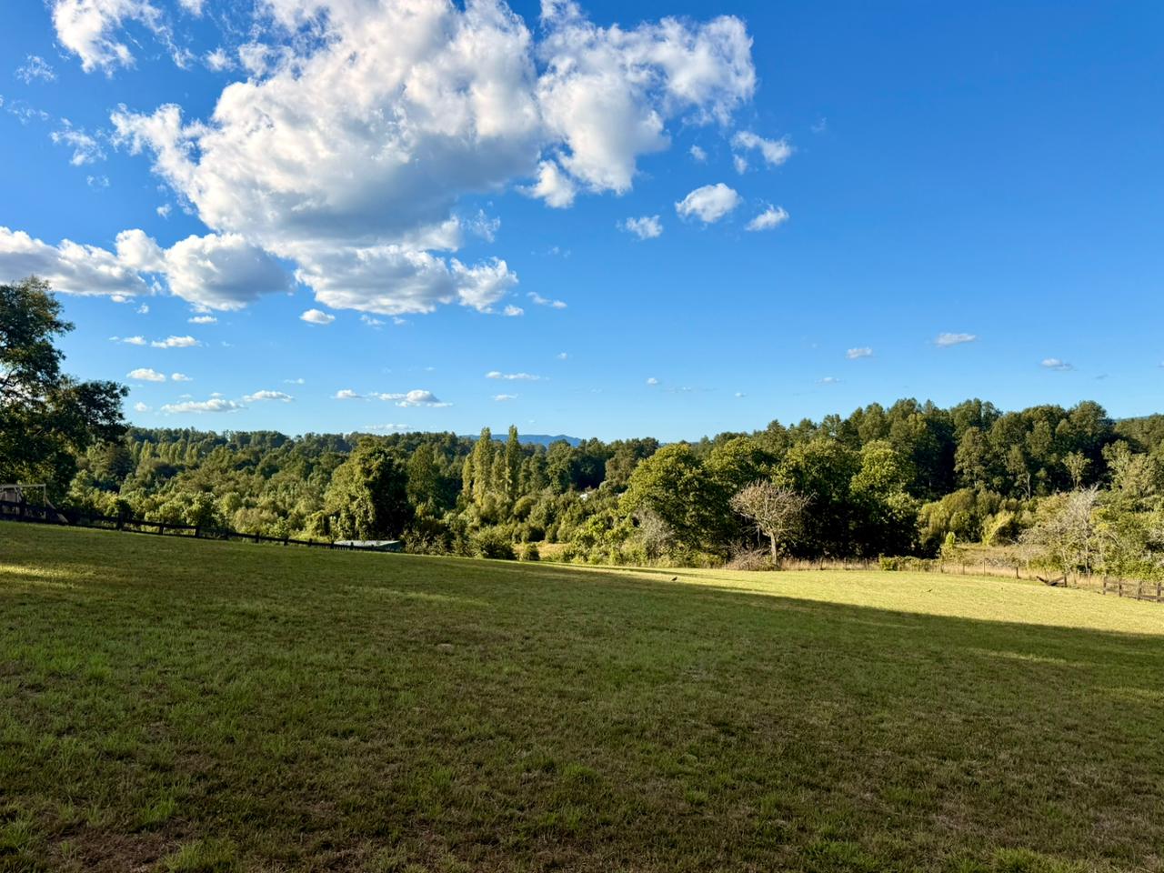 6ba15412-42d4-40dd-8521-606bdbc0a0f7