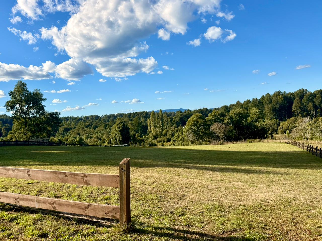 855d3886-ea44-40ee-8cab-8791ca1db8db