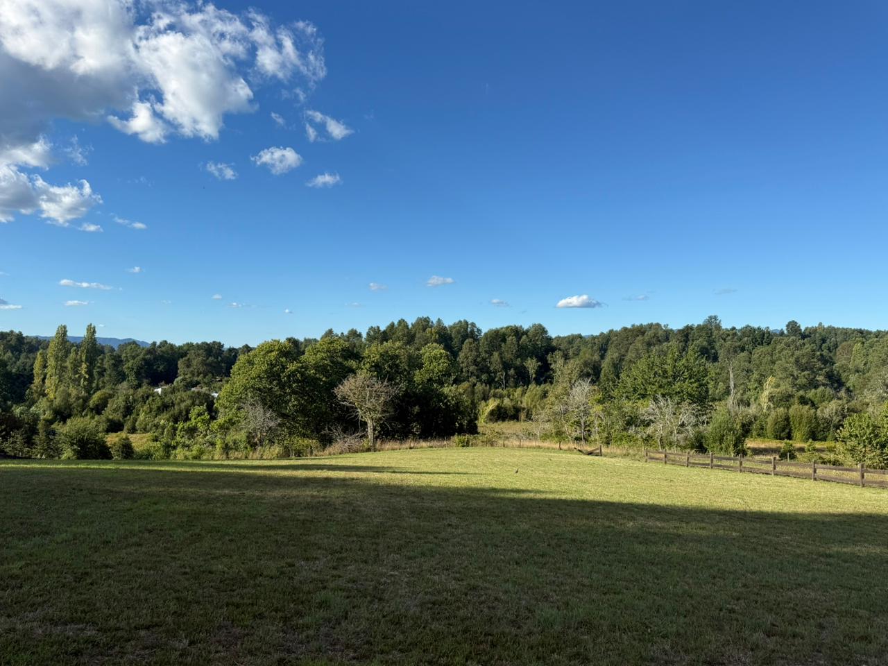 a2c32f0b-5ed7-4378-b4df-e3290ce75a25