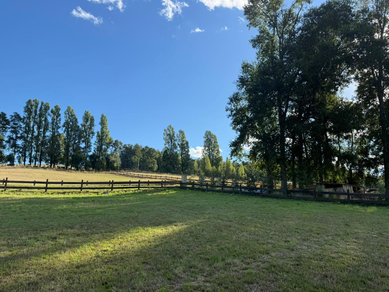 a6d0b1c6-f8cd-4075-80a3-a67f111df102