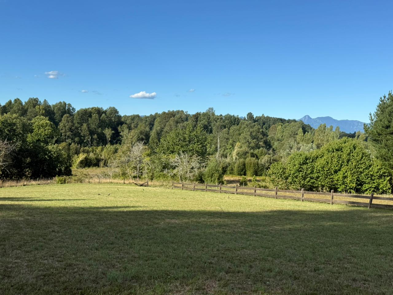 bd1e4b14-cbee-4897-95f7-bbed552a8f0a