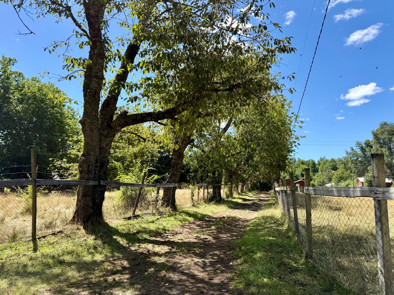 d5b78bf3-a93c-428b-9707-6af0738e306f