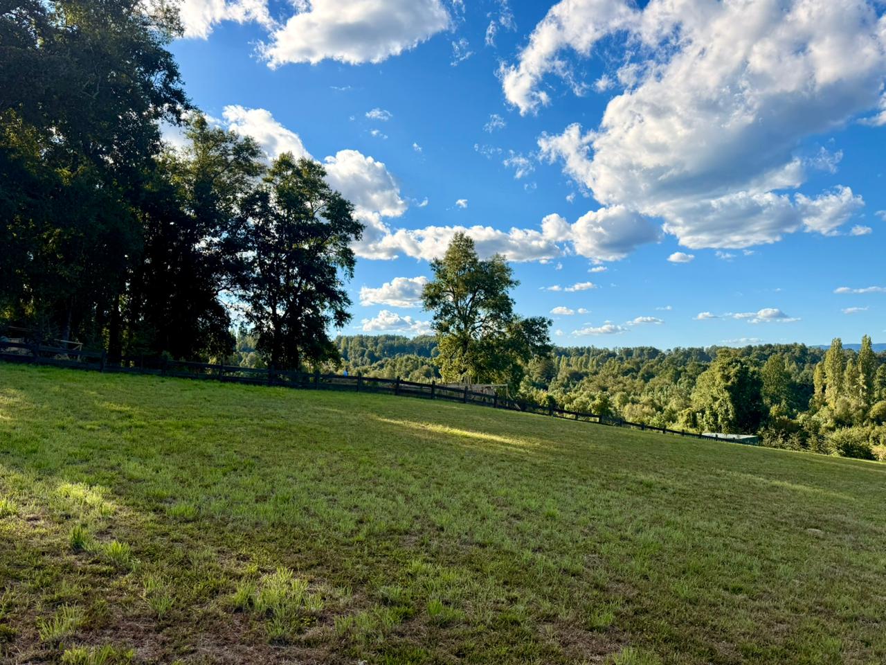 dc5b0529-2292-467a-b51f-f26d2ae1abfb