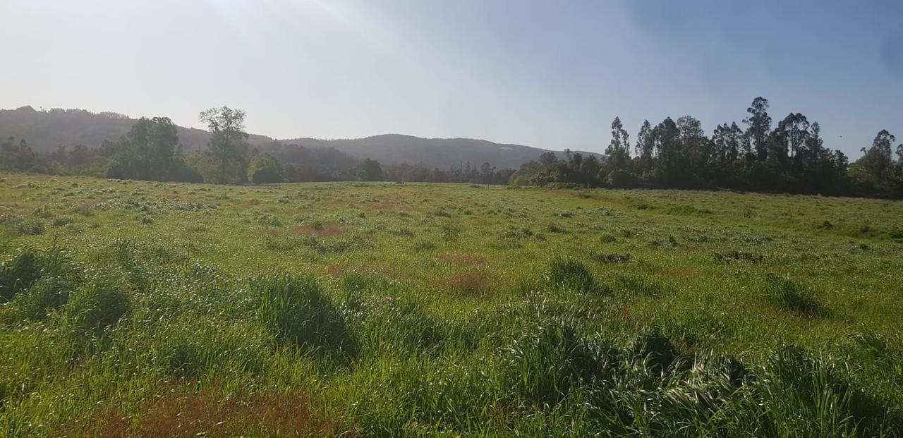 0af07c67-711a-427a-9b87-dd8fe195e699