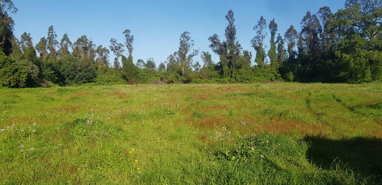 5517f67a-8f21-494a-a705-c36e9c6a9221