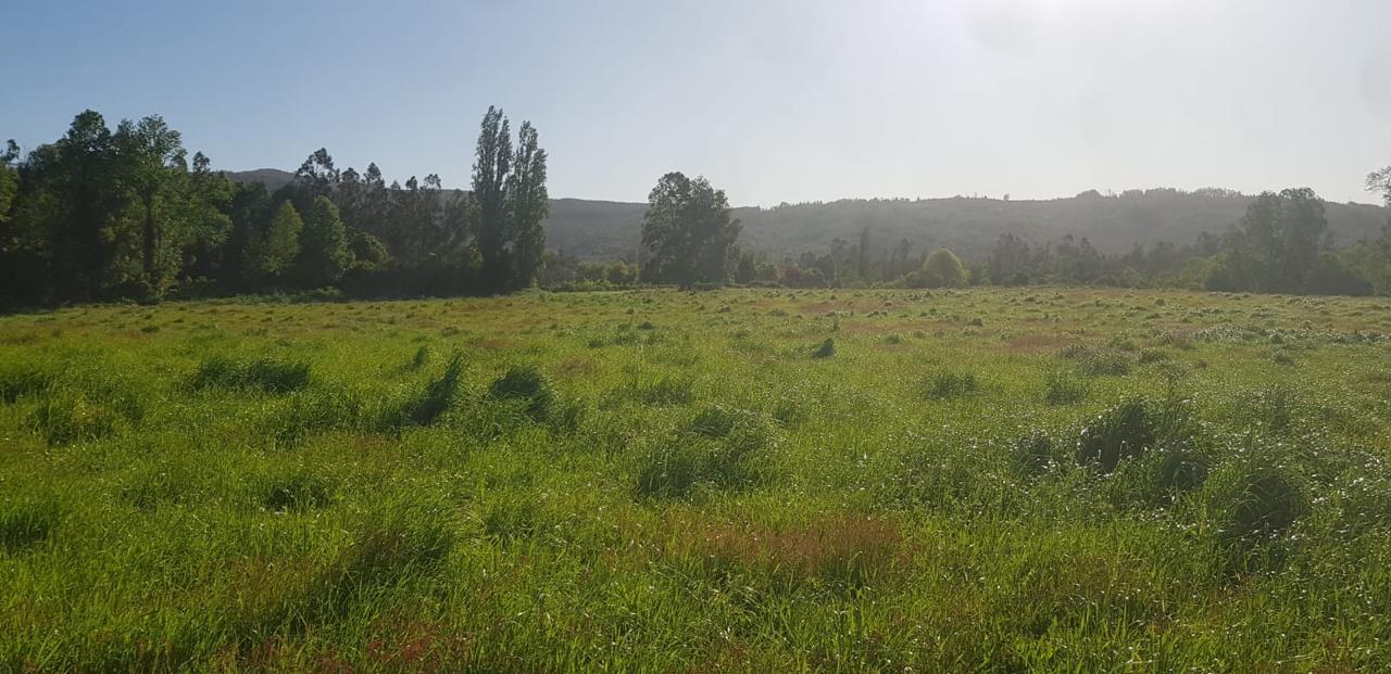 579f63a7-36ba-4f59-a2b7-dd5c7cfd1256