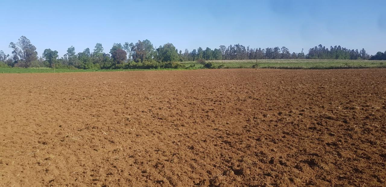 9f8b6775-797f-4fcb-abef-089fe3f5bce3