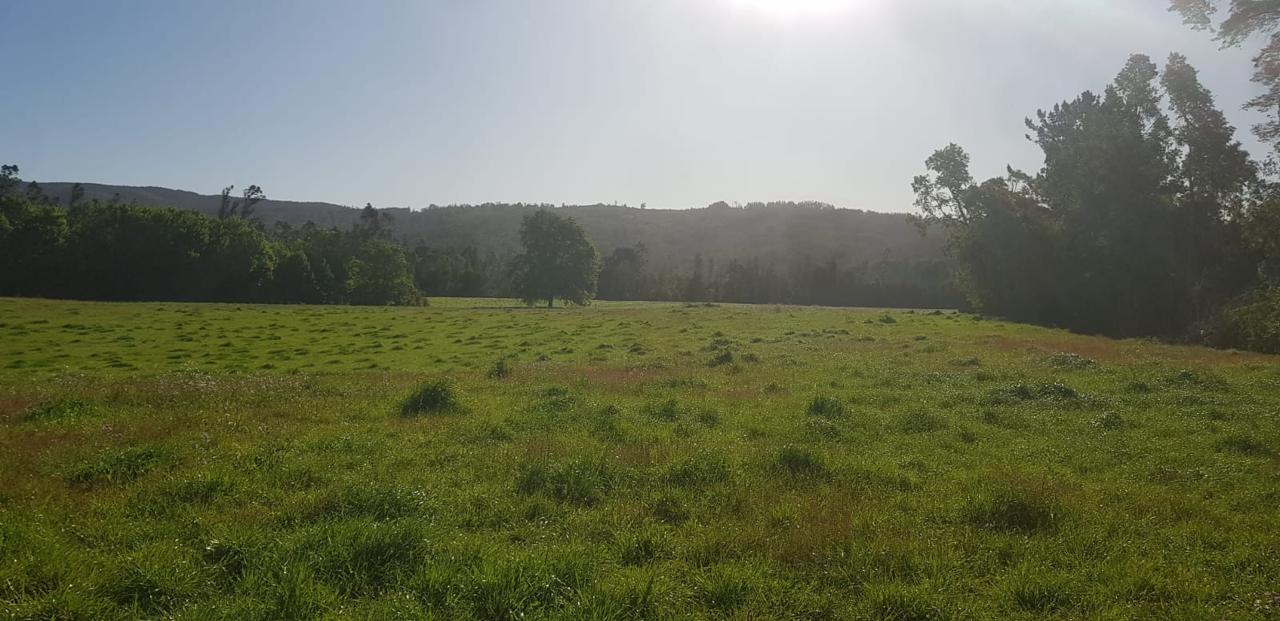 af4428fa-2017-44b6-a42d-58d0cfb80dc0