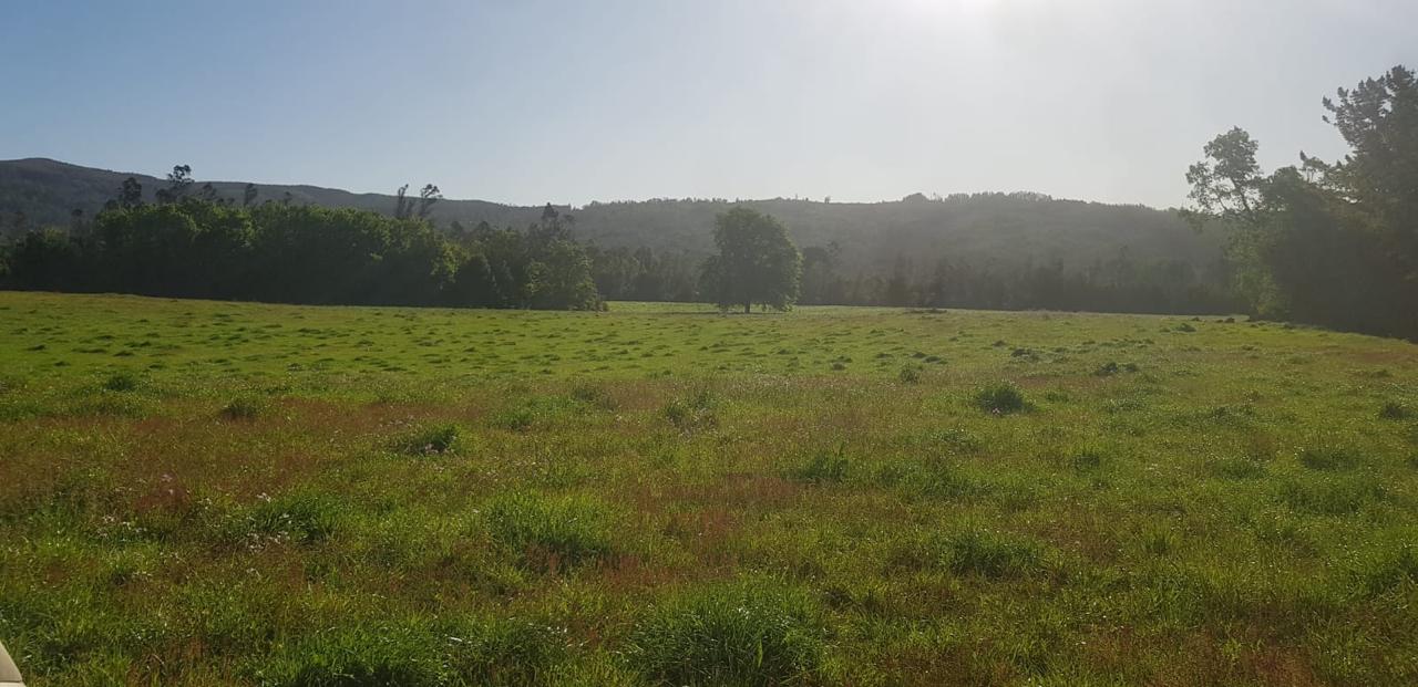 bf974768-ba82-41f3-ab8c-938df071e458