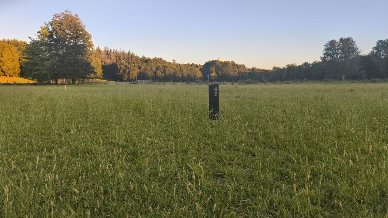 eb492b91-c39b-4c14-990a-9bb63d38ffbf