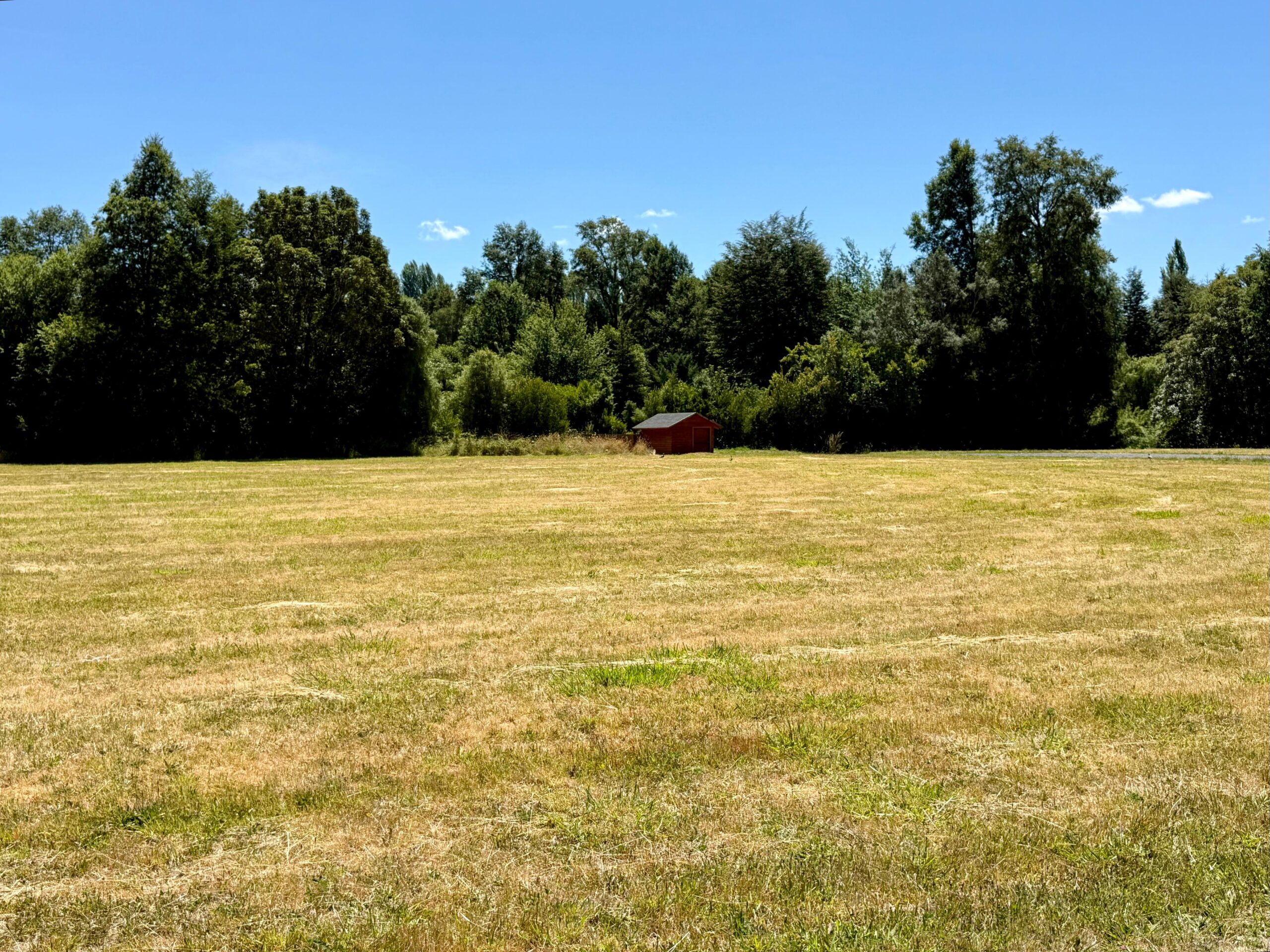 d1f0e76d-6112-4ecb-a17b-f203f6794529